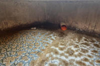 Aplicación de enzimas para fosas sépticas